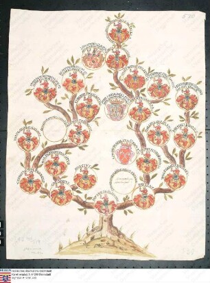 Stammtafel des Paul v. Silbermann