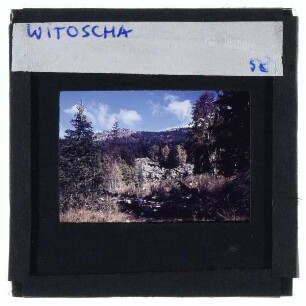 Sofia, Witoschagebirge