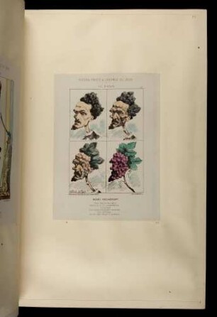 Fleurs, fruits et légumes du jour. Le raisin