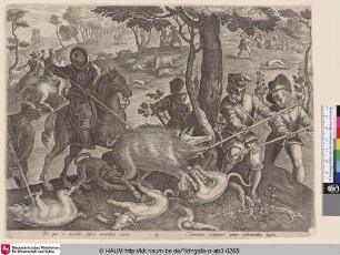 [Boar chase; Wildschweinfang]