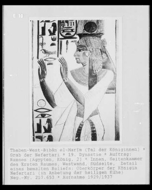 Königin Nefertari (bei der Anbetung der heiligen Kühe)