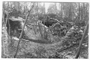 Im Fasses-Wald [bei Douaumont (Dep. Meuse, Frankreich), nicht näher identifizierbar]