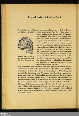Ein wahrhaft glücklicher Fund