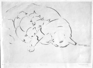 Katzenmutter. Tuschezeichnung (1938; E. Richter). Dresden-Südvorstadt, Eisenstuckstraße, Atelier der Künstlerin