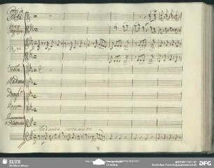 Quintetto: "Non sò dir se la paura"
