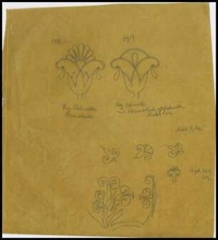 Pergamentpapier 2. Blüten