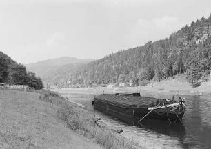 Elbtal bei Schöna, Schleppkahn auf der Elbe