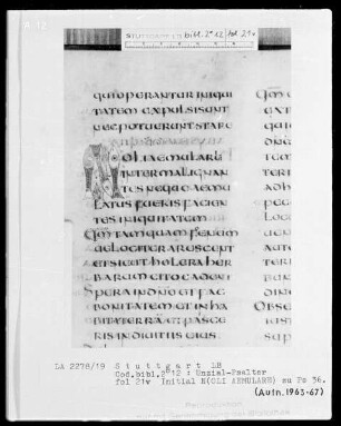 Lateinischer Psalter in Unzialschrift, 3 Bände — Initiale N(oli aemulare), Folio 21verso