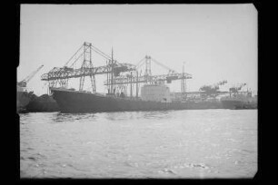 Widar (1953), Frigga.- Seereederei "Frigga" AG, Hamburg