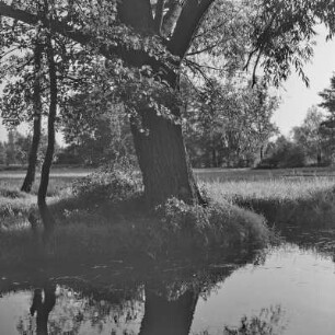 Landschaftsbild. Fließgewässer im Spreewald. : Wobraz krajiny. Groble w Błótach.