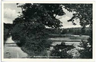 Schmannewitz. Waldteich