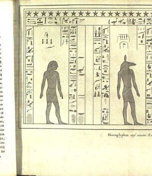 Tab. XXX. Hieroglyphen auf einem Kasten von schwartzen Granit bey Kallá el Käbsch in Káhira.