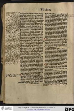Rationabiliter autem et principium ipsum ponunt omnes neque enim frustra possibile est ipsum esse neque alia inesse ipsi potentiam nisi sicut principium...