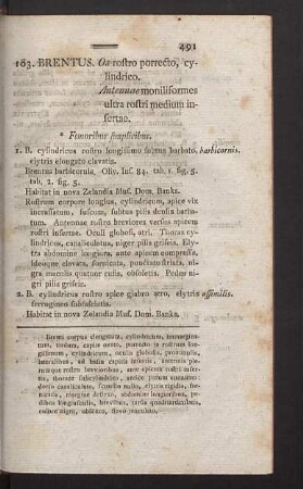 103. Brentus. - 117. Paederus.