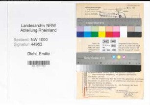 Entnazifizierung Emilie Diehl, geb. 08.07.1906 ()