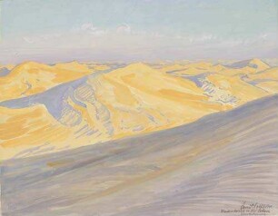 Wanderdünen in der Sahara. Abendstimmung
