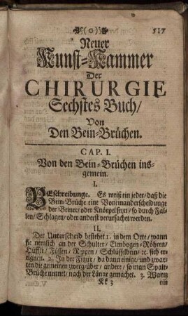 Neuer Kunst-Kammer der Chirurgie oder Heil-Kunst. Sechstes Buch.
