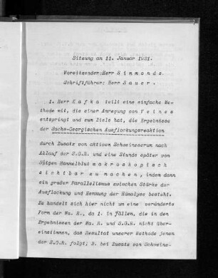 Sitzung am 11. Januar 1921.