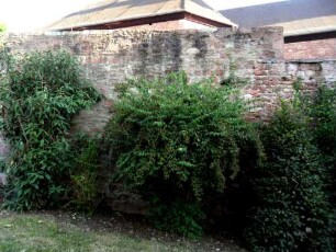 Ansicht von Süden - Kirchhofmauer im Süden (Wehrgang mit Steinbrüstung im 18 Jh abgetragen) von Stadtseite in Übersicht