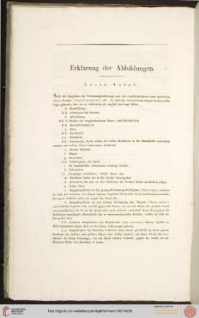 Erklärung der Abbildungen