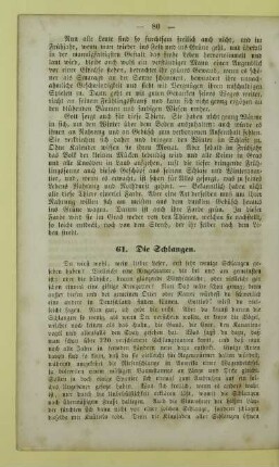 61. Die Schlangen