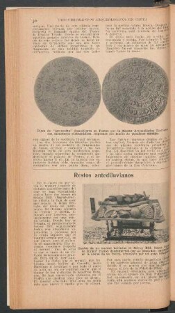 Restos antediluvianos