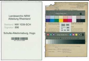 Entnazifizierung Hugo Schulte-Altedorneburg , geb. 18.09.1900 (Angestellter)