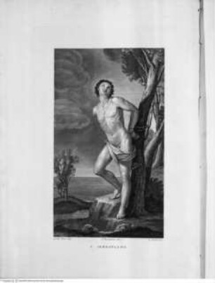 La Pinacoteca della Pontificia Accademia delle Belle Arti in Bologna pubblicata da Francesco Rosaspina Professore nell'Accademia sudetta, Bologna MDCCCXXX presso l'Autore, Tafel 34: Der heilige Sebastian
