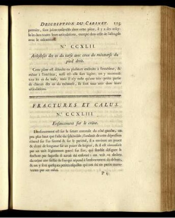 Fractures Et Calus.