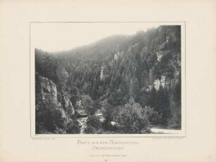 "Partie aus dem Berneckthal - Teufelsküche" im Schwarzwald