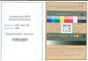 Entnazifizierung Hermann Knippenkoetter , geb. 28.10.1910 (Kommunalbeamter)