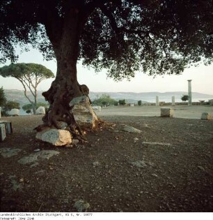 Libanon: Beit Mery über Beirut