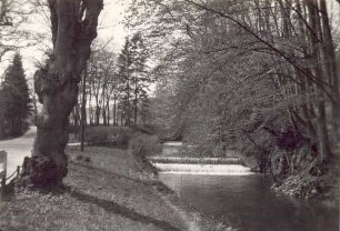 Weg zur Oberen Mühle und Berlebecke. Detmold