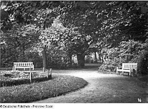 Bad Doberan, Wege und Rabatte am Großen Pavillon auf dem Kamp