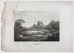 Atlas zur Reise in Brasilien von Dr. v. Spix und Dr. v. Martius - Mandiocca