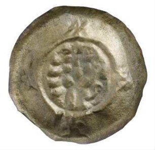 Münze, Pfennig, 1263 - 1302