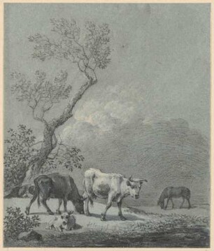 Zwei Rinder, ein liegendes Kalb und ein Pferd auf der Weide