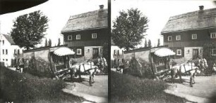 Seifhennersdorf (obersorbisch Wodowe Hendrichecy). Pfingstschießen. Marktwagen des Bänkelsängers auf der Warnsdorfer Strasse am Neumannsberg vor dem Wohnhaus Wolfstraße 11