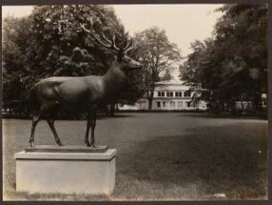 Fotoalbum: Deutsche Gartenbau- und Schlesische Gewerbe-Ausstellung (GUGALI), Liegnitz: Hirsch-Plastik vor Ausstellungspavillon