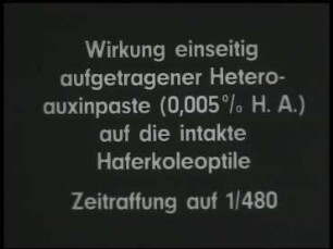 Hormonwirkungen bei höheren Pflanzen