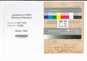 Entnazifizierung Max Balzer, geb. 26.04.1890 (Zollsekretaer)