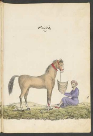 Illustration: f. 87v-88r