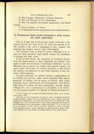 II. Formazione della tavola triturante e della corona dei denti mascellari.