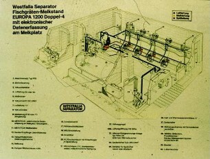 Westfalia Separator Fischgräten-Melkstand mit elektronischer Datenerfassung am Melkplatz