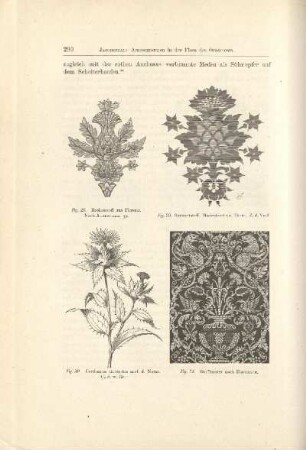 Fig. 28. Brokatstoff aus Florenz ; Fig. 29. Sammetstoff ; Fig. 30. Carthamus tinctorius ; Fig. 31. Stoffmuster