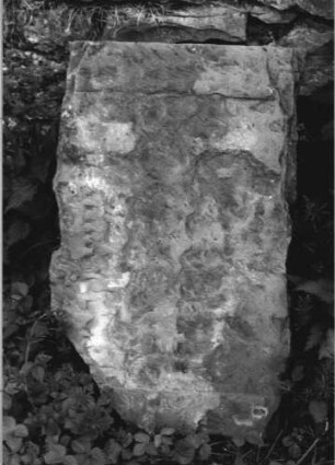 Grabstein 238 (Index: 100110521) Material: Sandstein Zustand: Fragment, sehr stark verwittert mit großem Textverlust Maße HxBxT: 44x71x11 cm Beschreibung: Schriftfeld eingetieft (Fragment): Grabstein 238 (Detailaufnahme)