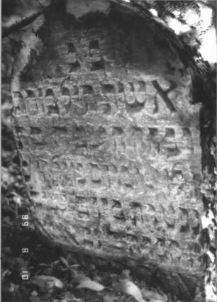 Grabstein 240 (Index: 99799945) Material: Sandstein Zustand: verwittert, eingesunken, teilw. Textverlust Maße HxBxT: 85x56x11 cm Beschreibung: Stele, eingezogener Rundbogenabschluß, Schriftfeld eingetieft: Grabstein 240 (Detailaufnahme)
