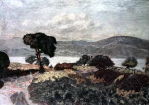 Landschaft bei Saint Tropez