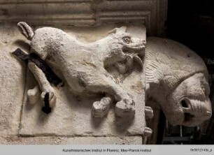 Metope