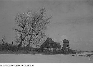 Ahrenshoop. Windmühlenruine